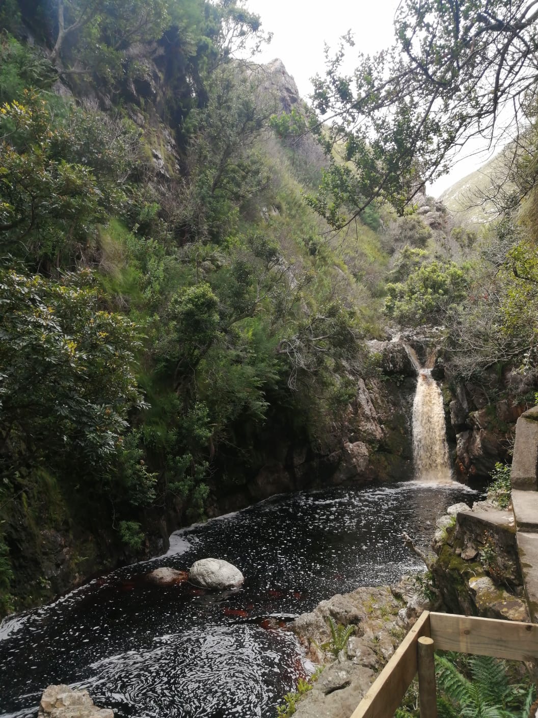 harold_porter_nature_reserve